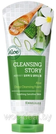 Welcos Пенка для умывания увлажняющая Cleansing Story Foam Cleansing Aloe 120 мл - фото 1 - id-p167858762