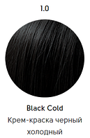 Epica Professional Стойкая крем-краска для волос Color Shade 100 мл, 1.0