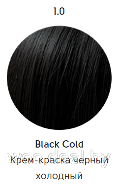 Epica Professional Стойкая крем-краска для волос Color Shade 100 мл, 1.0 - фото 1 - id-p167857832