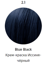 Epica Professional Стойкая крем-краска для волос Color Shade 100 мл, 2.1