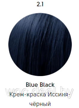 Epica Professional Стойкая крем-краска для волос Color Shade 100 мл, 2.1 - фото 1 - id-p167857833