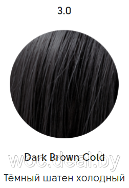 Epica Professional Стойкая крем-краска для волос Color Shade 100 мл, 3.0 - фото 1 - id-p167857834