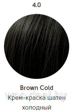 Epica Professional Стойкая крем-краска для волос Color Shade 100 мл, 4.0 - фото 1 - id-p167857835