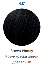 Epica Professional Стойкая крем-краска для волос Color Shade 100 мл, 4.17