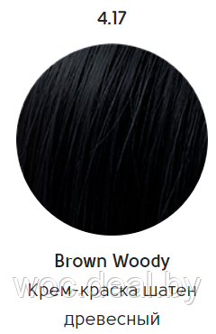 Epica Professional Стойкая крем-краска для волос Color Shade 100 мл, 4.17 - фото 1 - id-p167857841