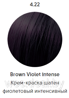 Epica Professional Стойкая крем-краска для волос Color Shade 100 мл, 4.22 - фото 1 - id-p167857843