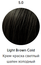 Epica Professional Стойкая крем-краска для волос Color Shade 100 мл, 5.0