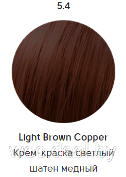 Epica Professional Стойкая крем-краска для волос Color Shade 100 мл, 5.4 - фото 1 - id-p167857849