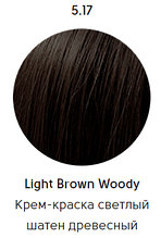 Epica Professional Стойкая крем-краска для волос Color Shade 100 мл, 5.17