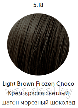 Epica Professional Стойкая крем-краска для волос Color Shade 100 мл, 5.18 - фото 1 - id-p167857854