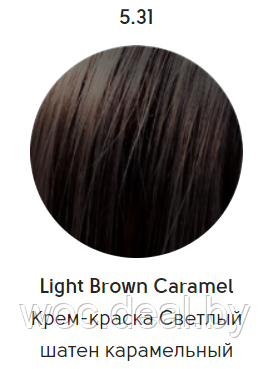 Epica Professional Стойкая крем-краска для волос Color Shade 100 мл, 5.31 - фото 1 - id-p167857855