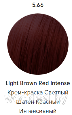Epica Professional Стойкая крем-краска для волос Color Shade 100 мл, 5.66 - фото 1 - id-p167857857