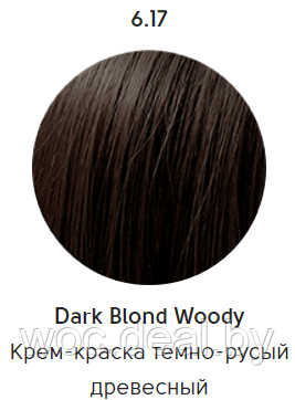 Epica Professional Стойкая крем-краска для волос Color Shade 100 мл, 6.17 - фото 1 - id-p167857868