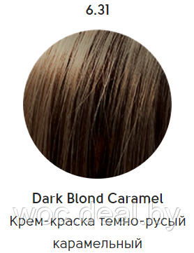 Epica Professional Стойкая крем-краска для волос Color Shade 100 мл, 6.31 - фото 1 - id-p167857871