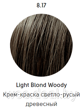 Epica Professional Стойкая крем-краска для волос Color Shade 100 мл, 8.17 - фото 1 - id-p167857897