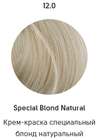 Epica Professional Стойкая крем-краска для волос Color Shade 100 мл, 12.0