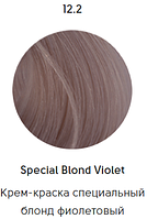 Epica Professional Стойкая крем-краска для волос Color Shade 100 мл, 12.2