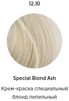 Epica Professional Стойкая крем-краска для волос Color Shade 100 мл, 12.10