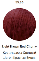 Epica Professional Стойкая крем-краска для волос Color Shade 100 мл, 55.66