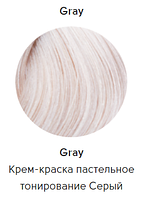 Epica Professional Стойкая крем-краска для волос Color Shade 100 мл, Серый Пастельное тонирование