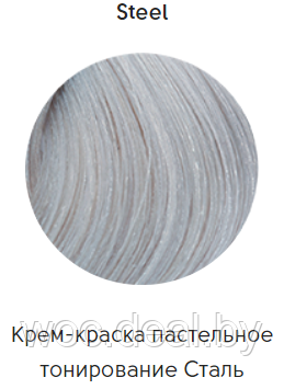 Epica Professional Стойкая крем-краска для волос Color Shade 100 мл, Сталь Пастельное тонирование - фото 1 - id-p167857940