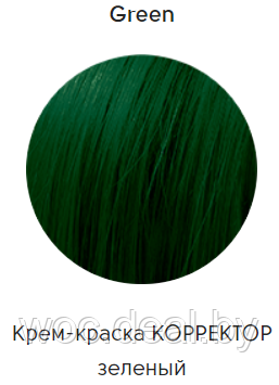 Epica Professional Стойкая крем-краска для волос Color Shade 100 мл, Зеленый корректор - фото 1 - id-p167857949