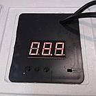 Инкубатор для яиц Несушка (до 77 яиц) артикул 59г, фото 2