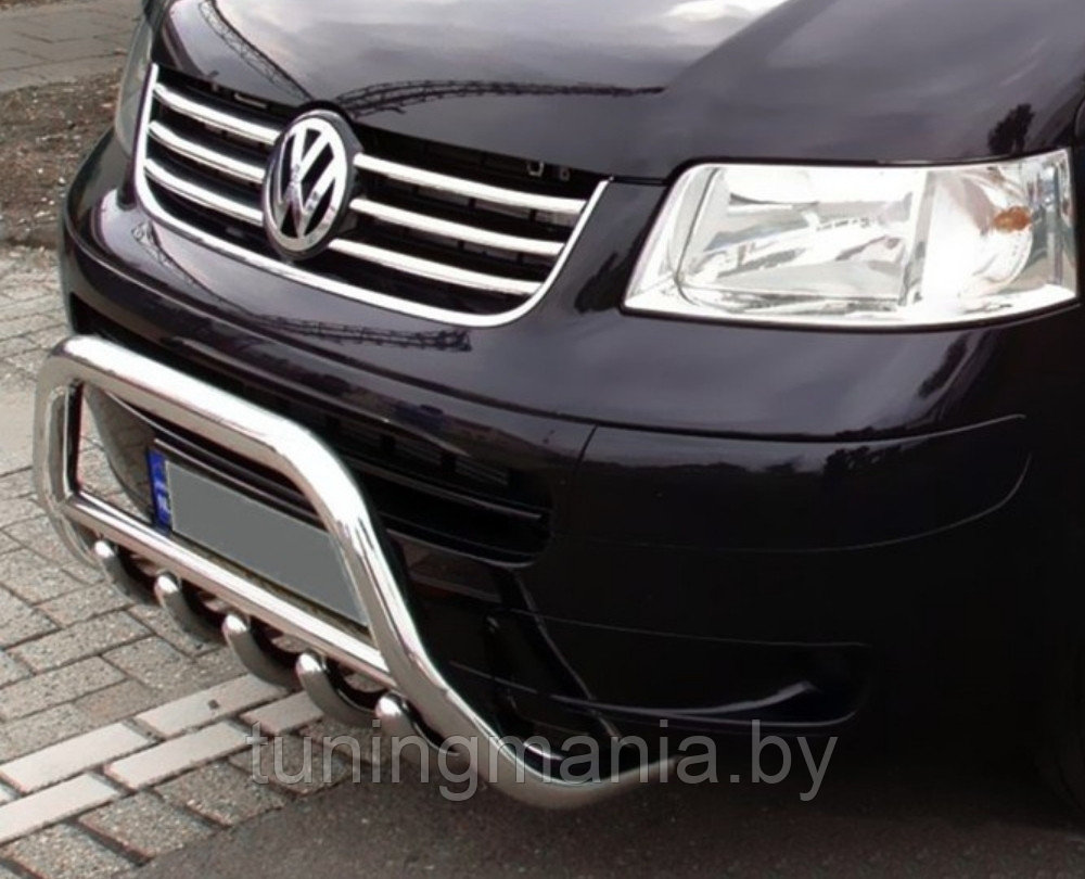 Кенгурятник для Volkswagen T5 - фото 1 - id-p106440647