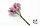 Букет Бледно-розовых цветов, фото 3