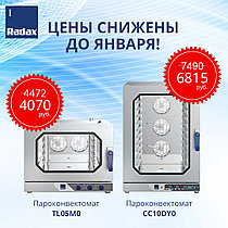 Цены жжём до января вместе с RADAX!