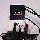 Инкубатор для яиц Несушка 104, №64В автомат, цифровой, 12В, вентилятор, фото 4