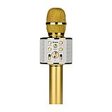 Микрофон беспроводной с колонкой Hoco BK3 цвет: золотой,серебряный, фото 2
