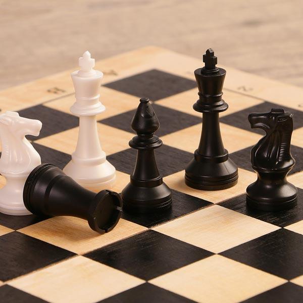 Игра 3 в 1 Шахматы, шашки, нарды Лесная мастерская Орнамент - фото 2 - id-p168156720