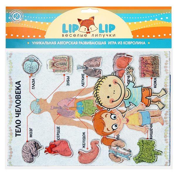 Игровой набор Веселые липучки Lip-Lip Тело человека - фото 1 - id-p168159076