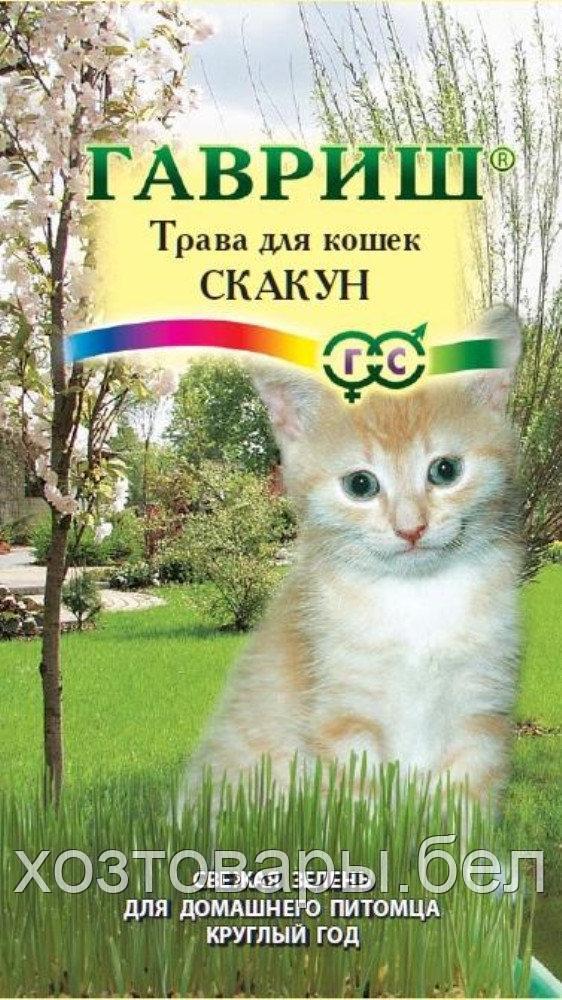 Трава для кошек Скакун 10г (Гавриш) - фото 1 - id-p167822896