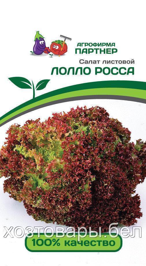Салат листовой ЛОЛЛО РОССА ^(0,5г)