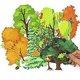 Деревья - игровой дидактический набор, фото 2