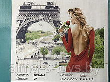 Рисование по номерам 50*40 девушка в Париже