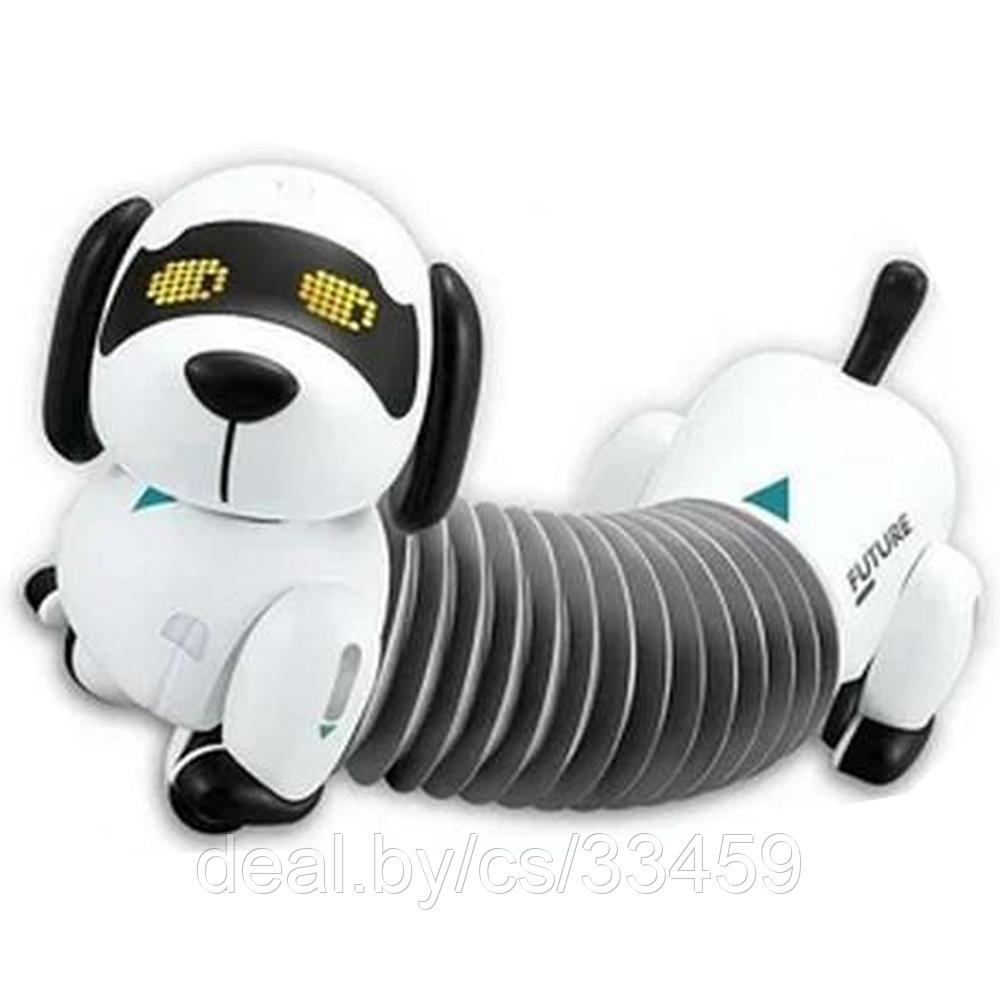 Интерактивная собака-робот Пультовод  - Такса на радиоуправлении, русский язык