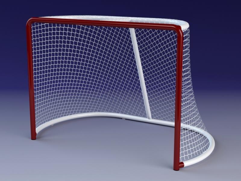 Сетка для хоккейных ворот 1.9х1.22 м, яч. 30х30 мм, нить 5 мм - фото 1 - id-p168258822