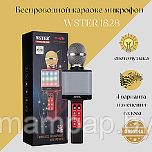 Оригинальный Караоке Микрофон Wster WS-1828 со светомузыкой /Черный