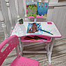 УЦЕНКА Растущая парта (стол) и растущий стул для дошкольника (подставка для книг, полка для канцтоваров), фото 4