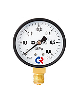 Манометр ТМ-310Р.00(0-0,6МРа) G1/4.150С.2,5 О2 кислород