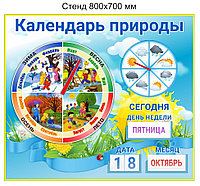 Стенд "Календарь природы" развивающий детский. 800х700 мм