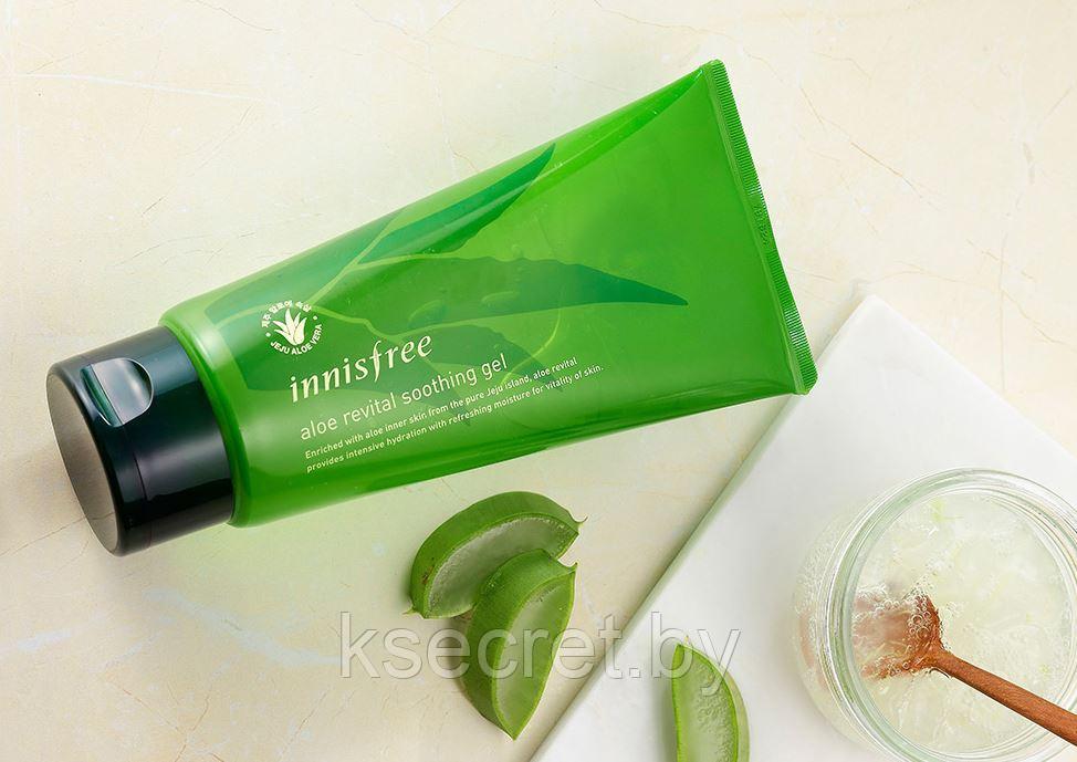 Многофункциональный гель с экстрактом алоэ INNISFREE Aloe revital soothing gel - фото 3 - id-p168481285