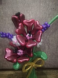 Букеты из шаров со сложными цветами, фото 2