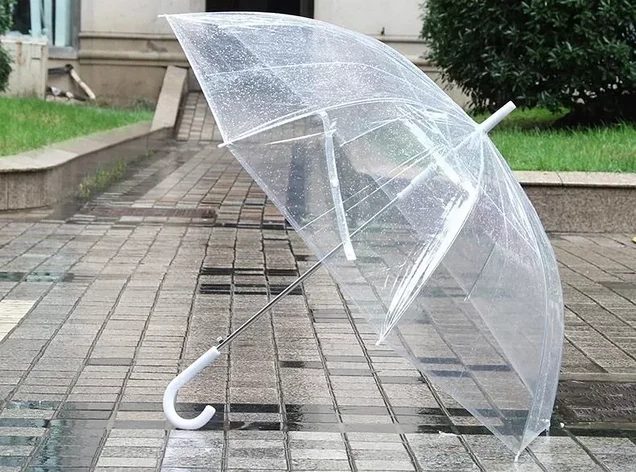 Зонт-трость Bravo "Прозрачный купол", фото 2