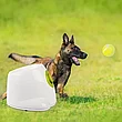 Автоматическая катапульта для собак AFP Interactive / Hyper Fetch Mini, метатель мячей для собак, фото 3