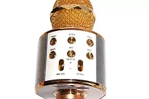 Караоке-микрофон HANDHELD/WSTER WS-858 Gold, фото 3
