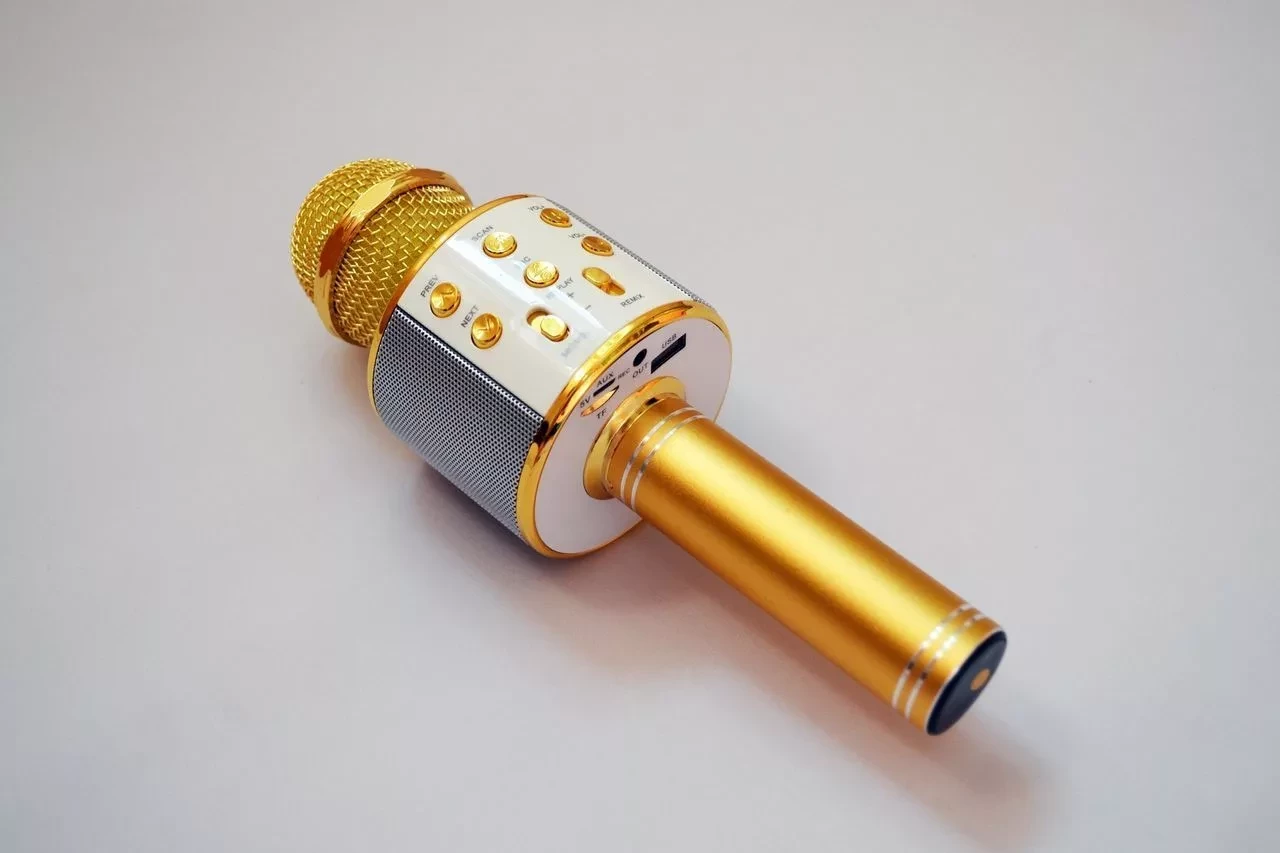 Караоке-микрофон оригинальный HANDHELD/WSTER WS-858 Gold - фото 8 - id-p129969897